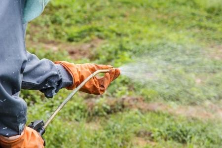 Glyphosate Herbicide Contributes to Autism & Disease
